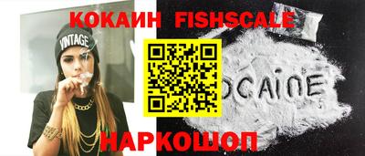 стафф Кингисепп