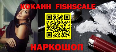 стафф Кингисепп