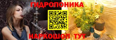 стафф Кингисепп