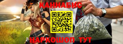 стафф Кингисепп