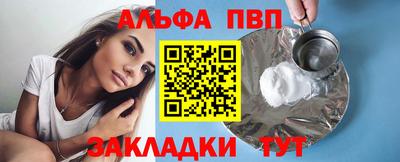 стафф Кингисепп