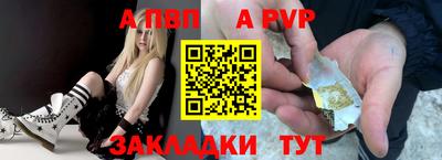стафф Кингисепп