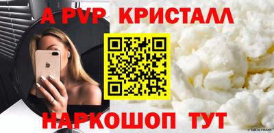 стафф Кингисепп