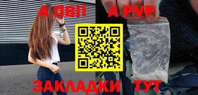стафф Кингисепп